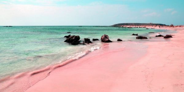 Pink Sands Bahamas